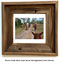 horse trail rides near me in Montgomery, New Jersey